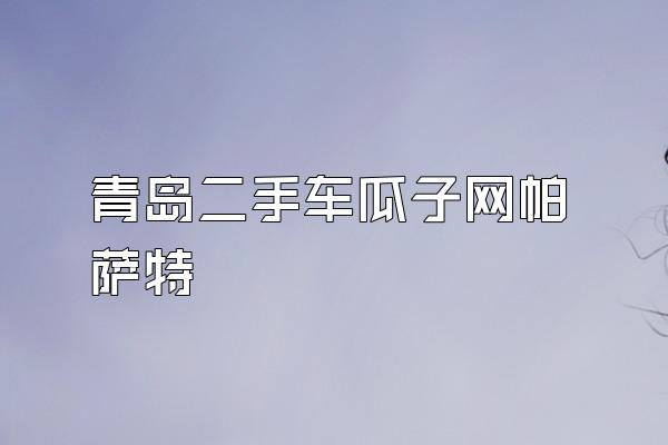 青岛二手车瓜子网帕萨特