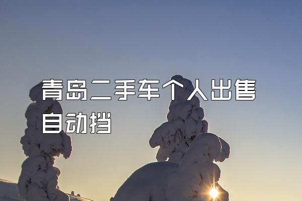 青岛二手车个人出售自动挡