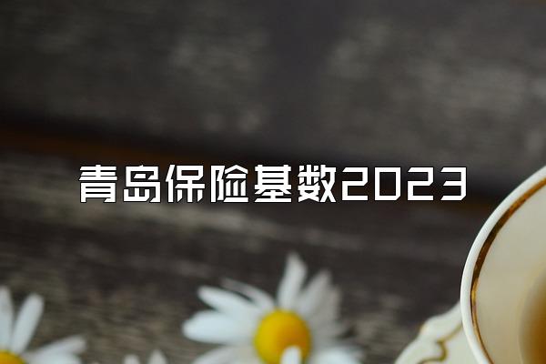 青岛保险基数2023