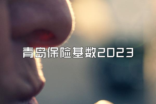 青岛保险基数2023