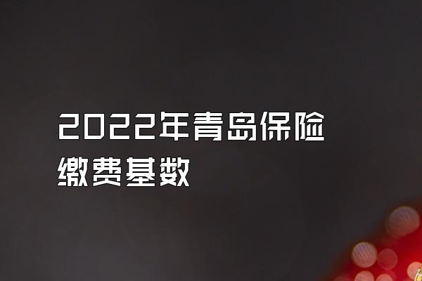 2022年青岛保险缴费基数