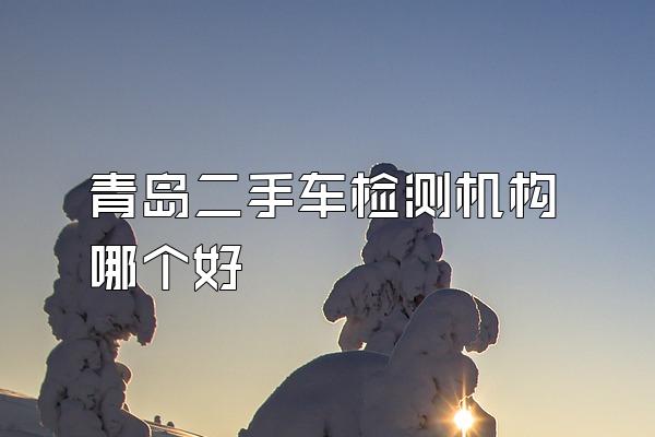 青岛二手车检测机构哪个好