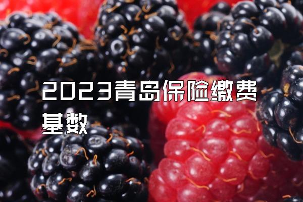 2023青岛保险缴费基数