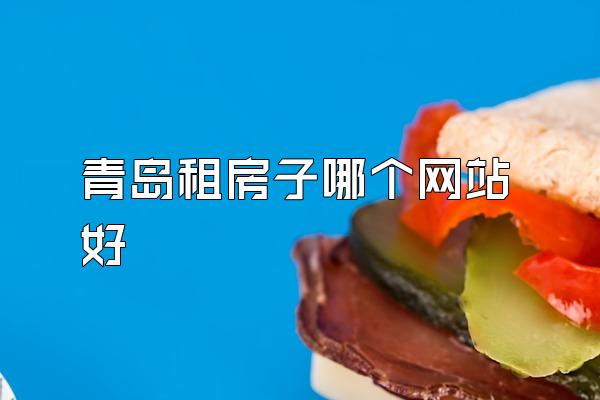 青岛租房子哪个网站好