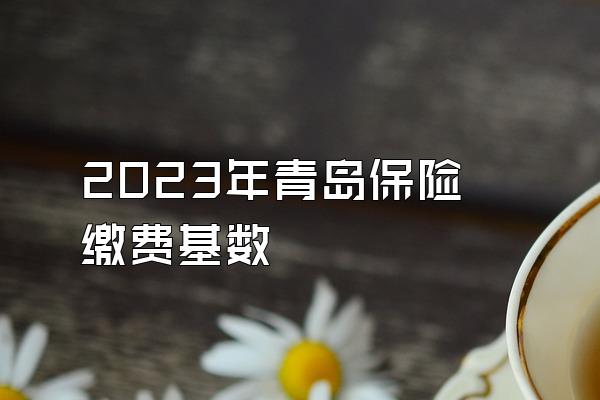 2023年青岛保险缴费基数