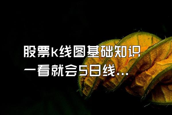 股票k线图基础知识 一看就会5日线10日30日60日