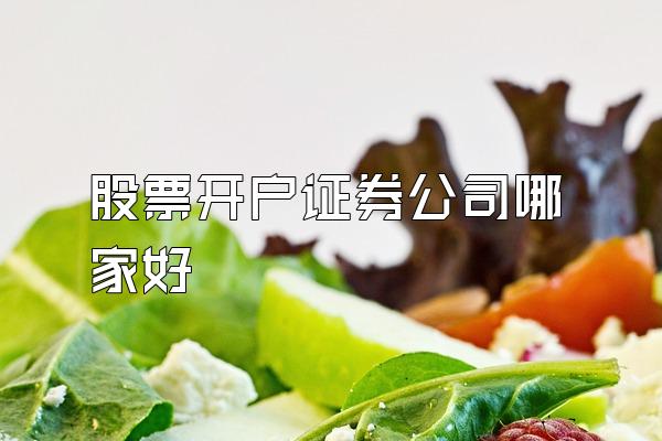 股票开户证券公司哪家好