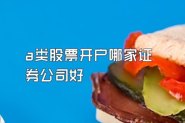 a类股票开户哪家证券公司好