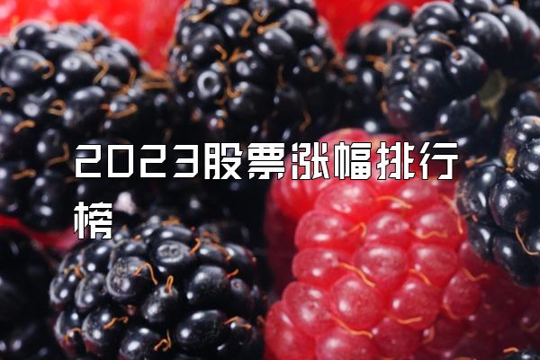 2023股票涨幅排行榜