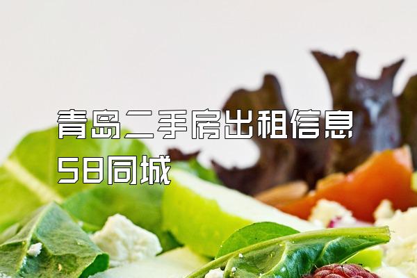 青岛二手房出租信息58同城