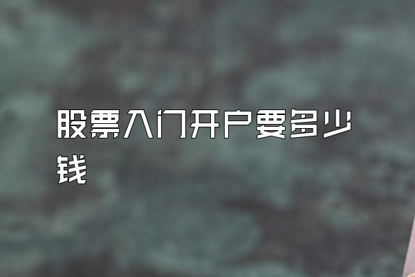 股票入门开户要多少钱