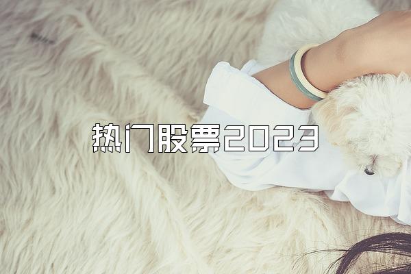 热门股票2023