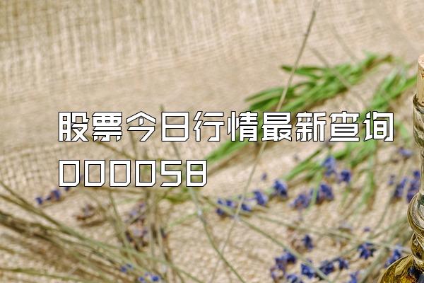 股票今日行情最新查询000058