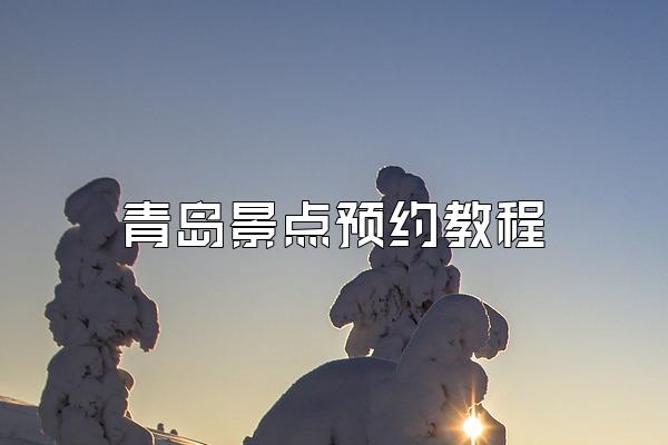 青岛景点预约教程