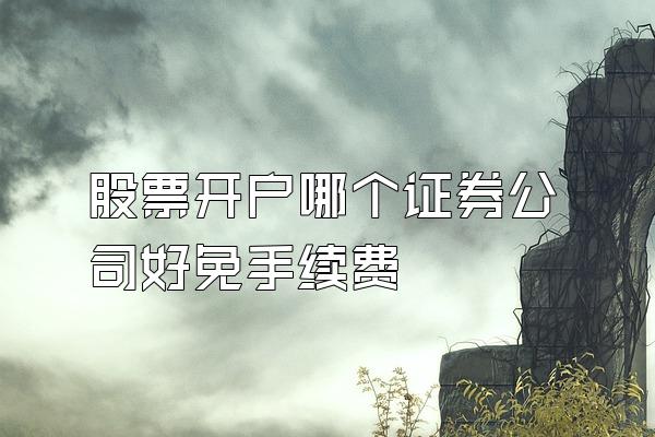 股票开户哪个证券公司好免手续费