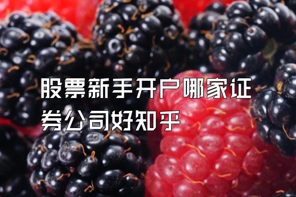 股票新手开户哪家证券公司好知乎