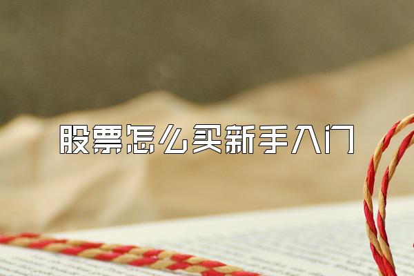 股票怎么买新手入门