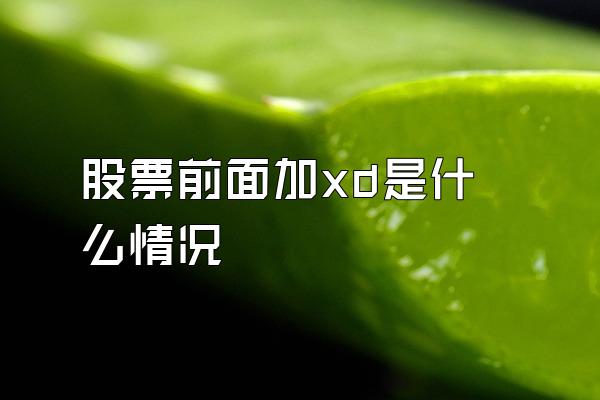 股票前面加xd是什么情况