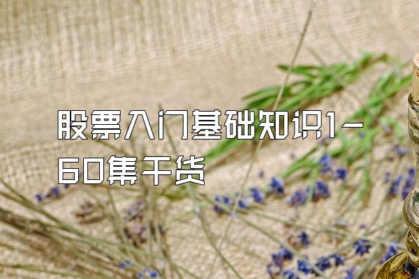 股票入门基础知识1-60集干货