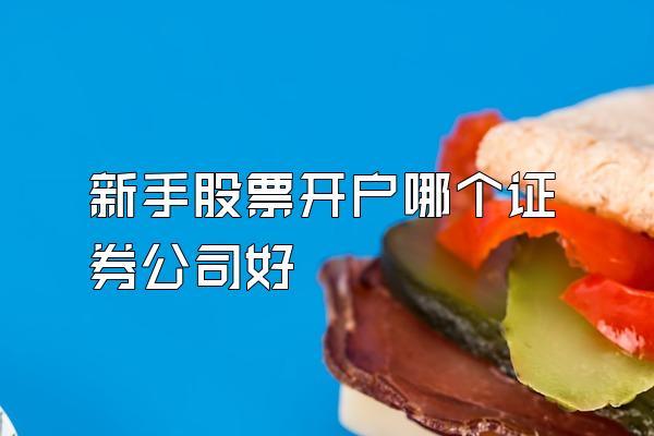 新手股票开户哪个证券公司好