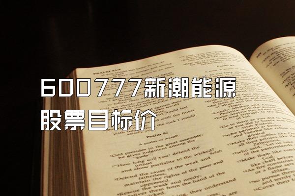 600777新潮能源股票目标价