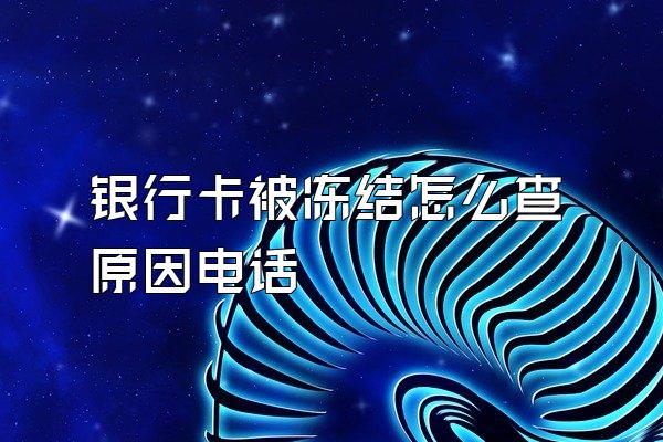 银行卡被冻结怎么查原因电话