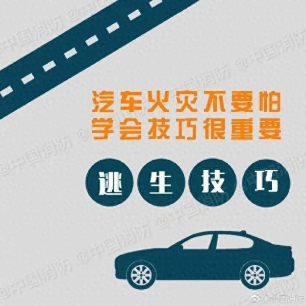 埃及布海拉省一公路发生多车相撞，致28死60伤