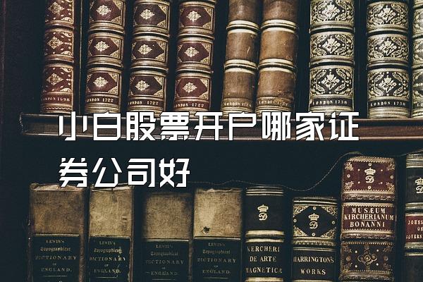 小白股票开户哪家证券公司好