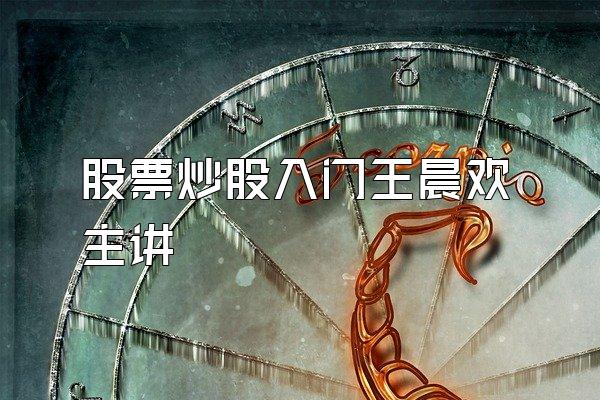 股票炒股入门王晨欢主讲