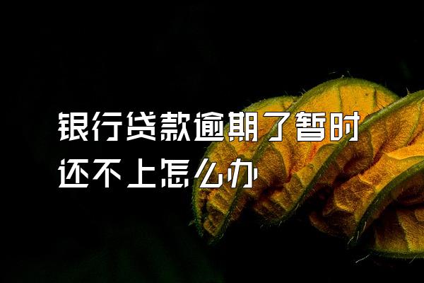 银行贷款逾期了暂时还不上怎么办