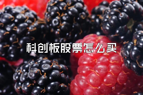 科创板股票怎么买