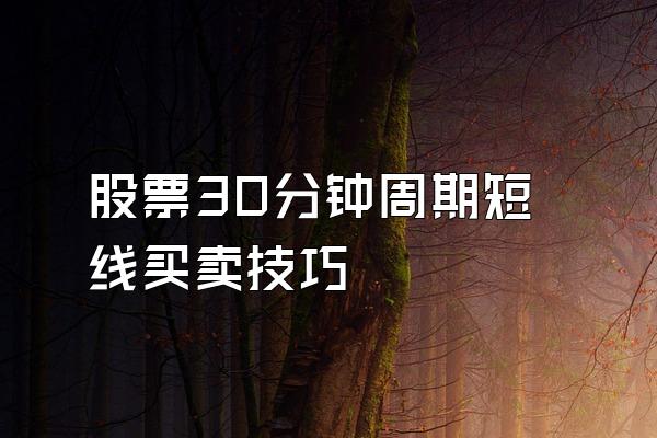 股票30分钟周期短线买卖技巧